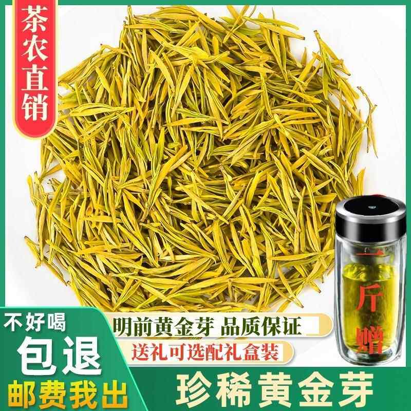 2025年正宗黄金芽白茶明前特级安吉新茶250g罐装礼盒装绿茶叶
