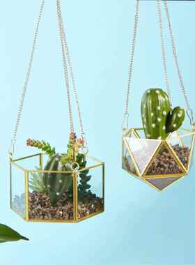 璃挂sg-700肉空气凤梨植物几何防尘多玻罩花房盆罩悬铜边工艺品挂
