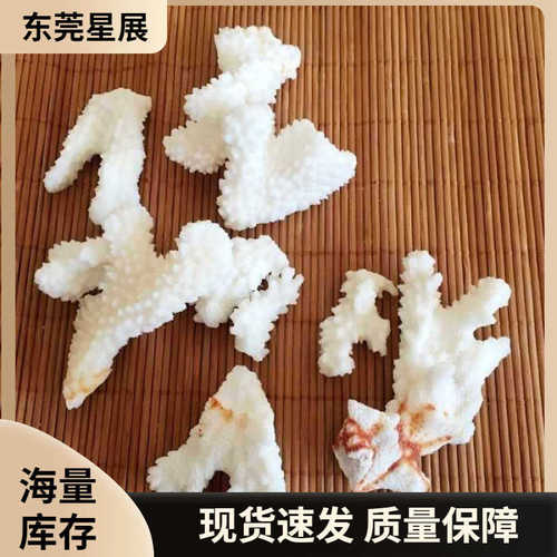 新品珊瑚骨天然珊瑚石天然真品珊瑚批发鱼缸摆件鱼缸珊瑚批发