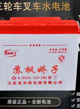 苏枫水电池60斤70斤80斤工程车载重电三轮车电叉车12v水电瓶260型