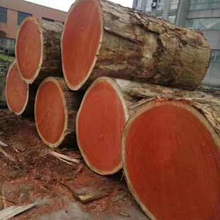 烘干花梨板材原木红红防腐加工 红邵氏花梨板材木木条 紫檀花梨