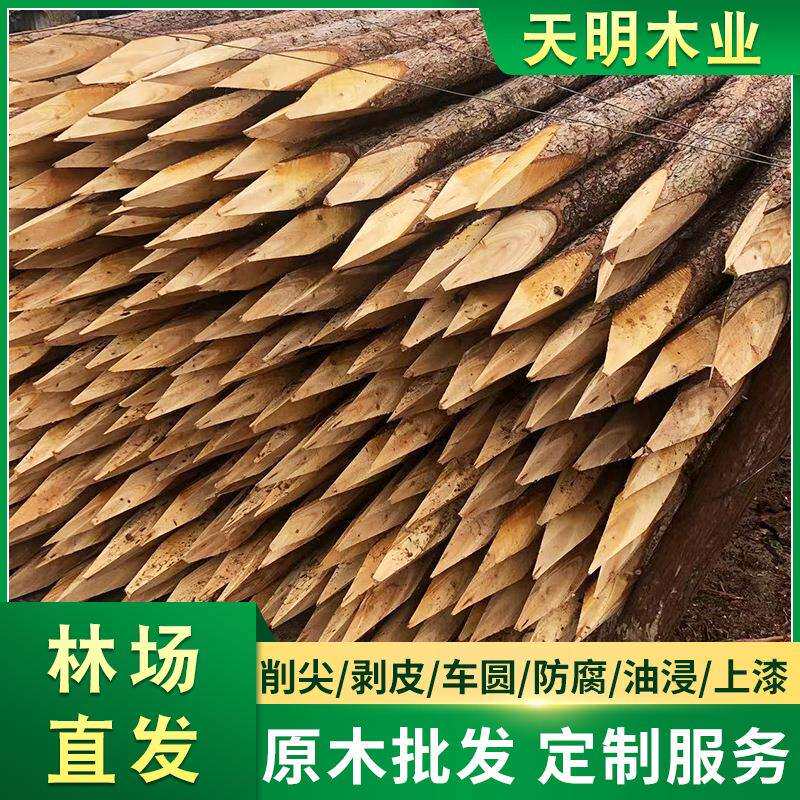 厂家松木桩河道打桩原木桩园林绿化支撑杉木桩防汛松树木桩