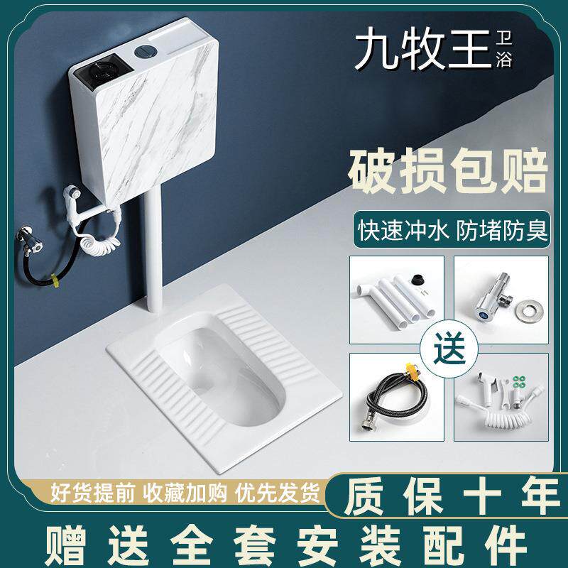 家用蹲坐便器蹲坑式便池冲水箱整套装卫生间防臭厕陶瓷便盆
