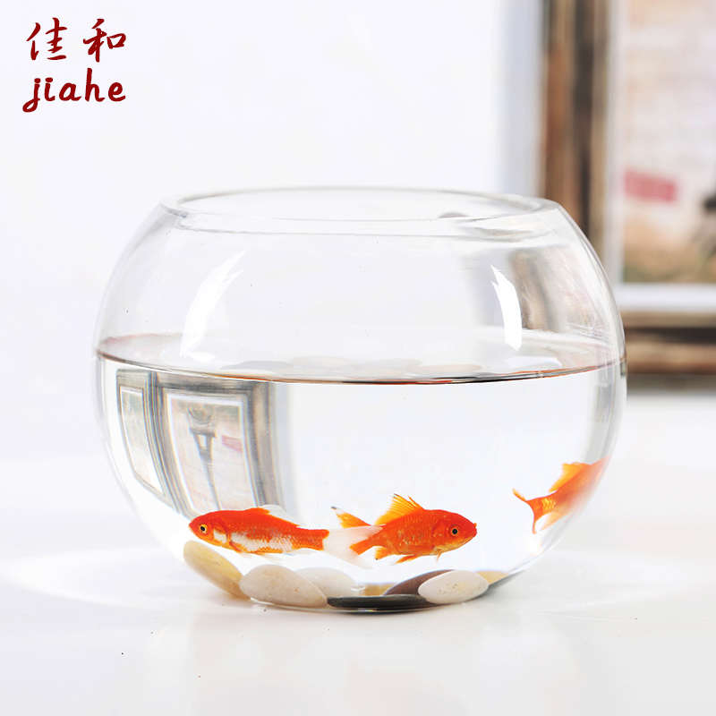 大号玻璃水培植物花盆办公室桌面水养绿箩铜钱草花瓶圆形透明鱼缸