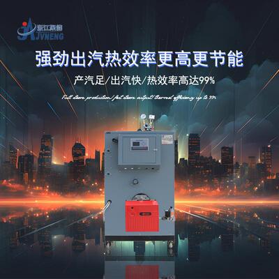 100kg江能器LSW0.1-0天然气柴油蒸汽发生食品腐竹聚饲料纸板加工