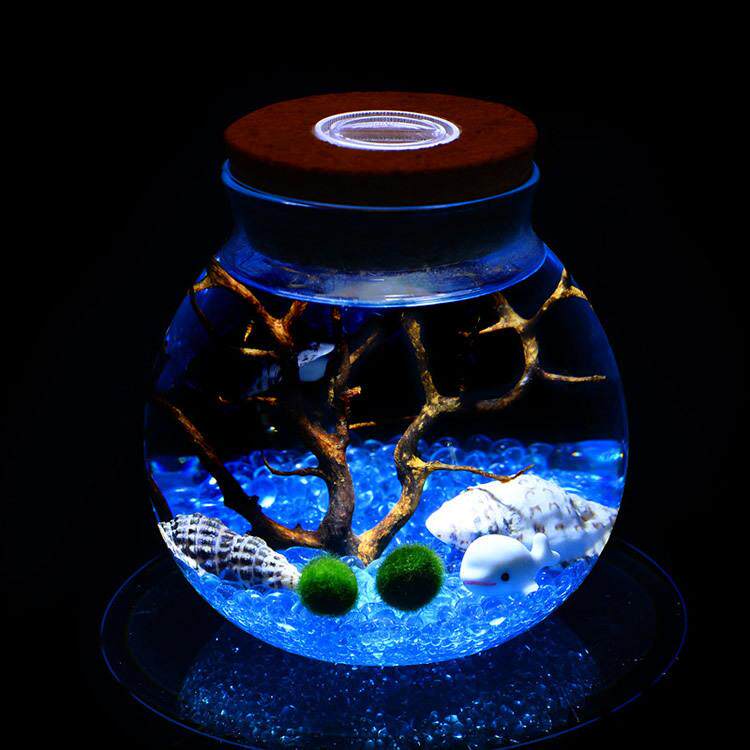 带灯海藻球玻璃花 微景观生态 软木塞带灯圆形玻璃密封