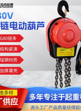 DHS环链电动葫芦1t2tt电葫芦5t吨固定挂钩式提升机环链电动葫芦
