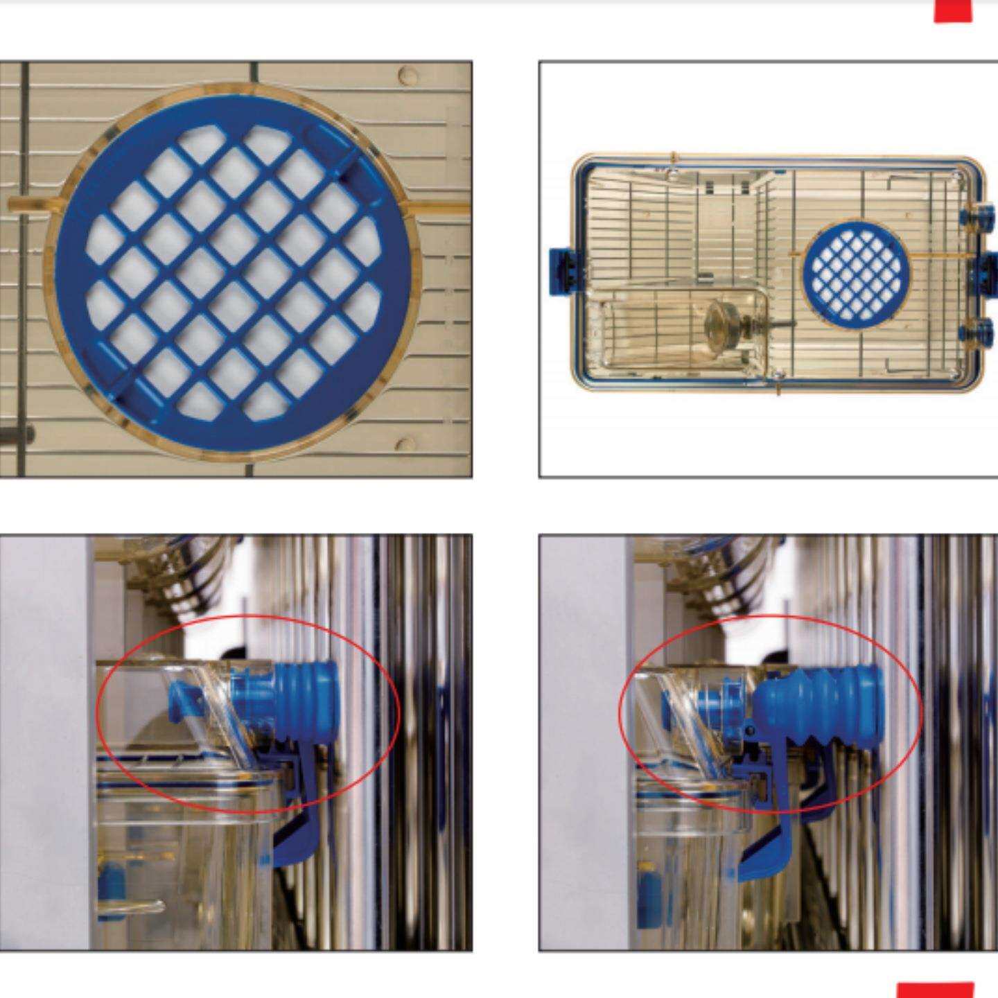 SALSAFE蓝线IVC笼盒 型号:BM91-1285L库号：M60834