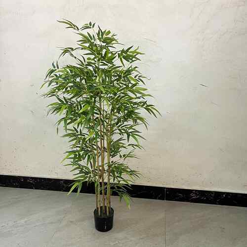 现货仿春春竹盆栽竹栽装绿植盆栽摆件大型真植物饰盆盆景假绿植造