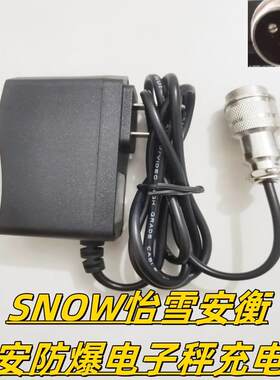怡雪SNOW飞亚/耀华/朗科/宏力防爆电子秤5V8.4V10.8V2插3孔充电器