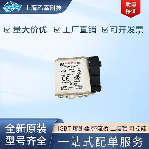 巴斯曼熔断器 170M3661 170M3662 170M3663 170M3664 170M3665