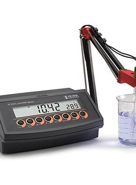 HANNAHI2213微电脑pH-ORP-?C/?F测定仪