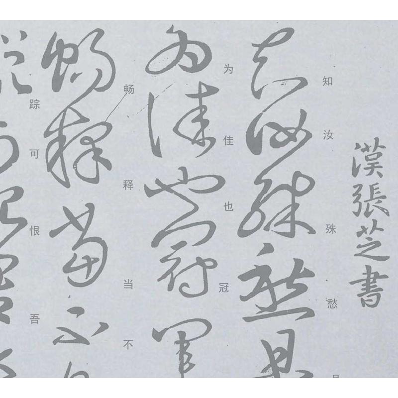 张芝冠草书军帖水写布毛笔书法练字仿宣免墨汁万次练习