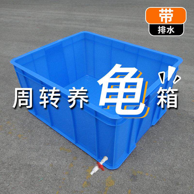 养龟排缸带水周转龟箱塑料长方形鳄殖箱大号乌龟专用养鱼盆螃蟹筐