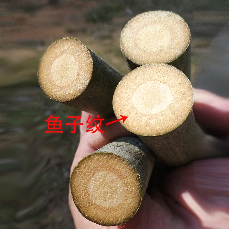 玉竹毛料玉竹实心件实心竹直发手把产地原材料青皮