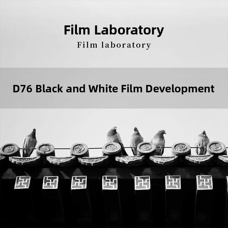 【菲林实验室】D76黑白负片胶卷冲洗 135&120 胶片冲扫洗胶卷照片