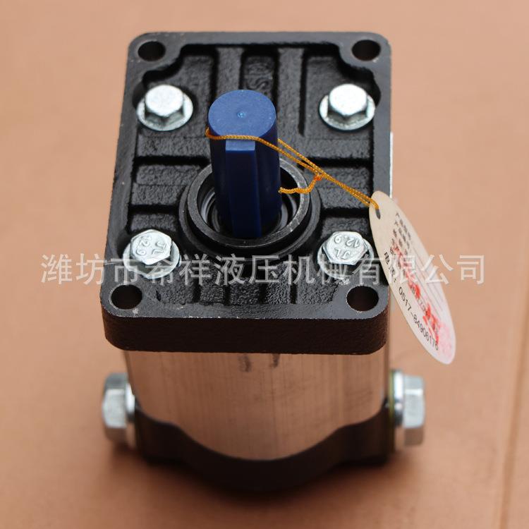 HLC-D10/D80B6/60/14201120/14/16/18/20恒流/齿轮泵4花键泵