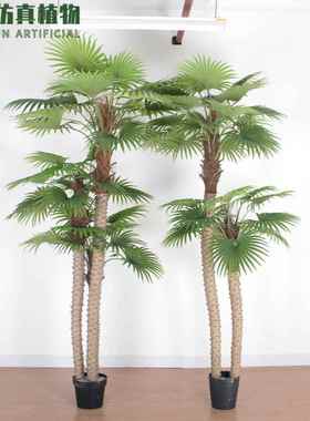 室内造景盆栽热带雨林绿植北欧风装饰仿真扇葵树大型仿真棕榈树