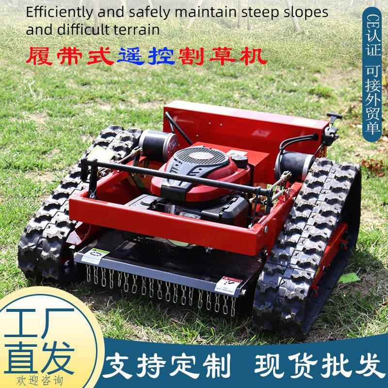 口德国遥出控智能割草机EENHT550带履式堤坝果剪草机汽油除草园机