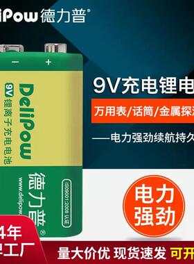 德力普9V锂电充电电池800mah万用表电子仪表电池9伏6F22方形电池