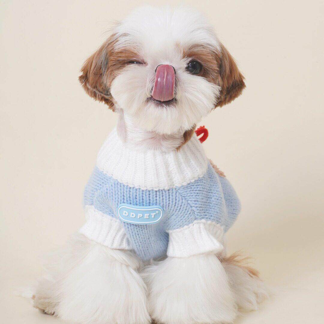 DDPET狗狗衣服宠物衣服秋冬法斗雪纳瑞比熊马尔济斯西施犬猫毛衣