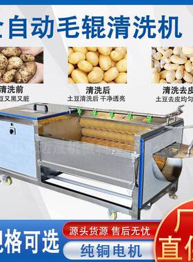 厂家直销全自动毛辊红薯土豆清洗去皮机工业大型莲藕姜去皮清洗机