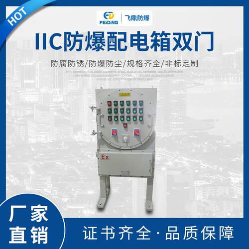 飞鼎防爆照明动力配电箱IIC防爆配电箱双门照明动力配电柜