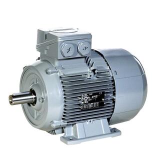 供应德国意大利AEG电机AM132SZA8AM100LAB8