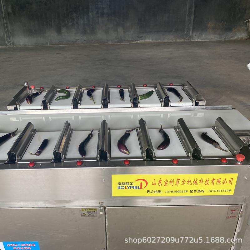 厂家直售全自动选果机分选百香果沃柑冬枣粑粑柑圣女果大小分级机