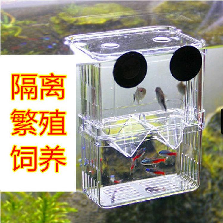 水族箱亚克力鱼缸鱼缸孵化孵化器图片