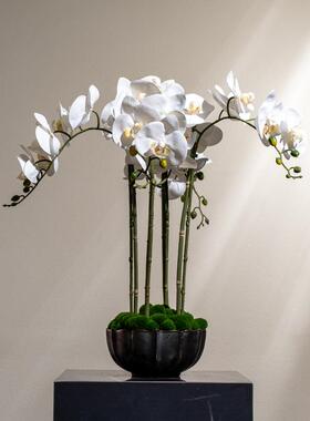 新中式手感仿真蝴蝶兰花商业餐饮饭店前台摆件玄关壁龛餐桌花摆花