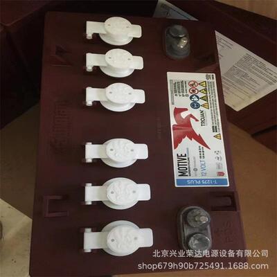 Trojan蓄电池31XHS12V130AH邱健免维护电瓶应用范围广