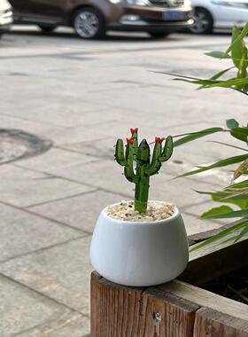 仙人掌办公室工艺品淄博装饰摆件