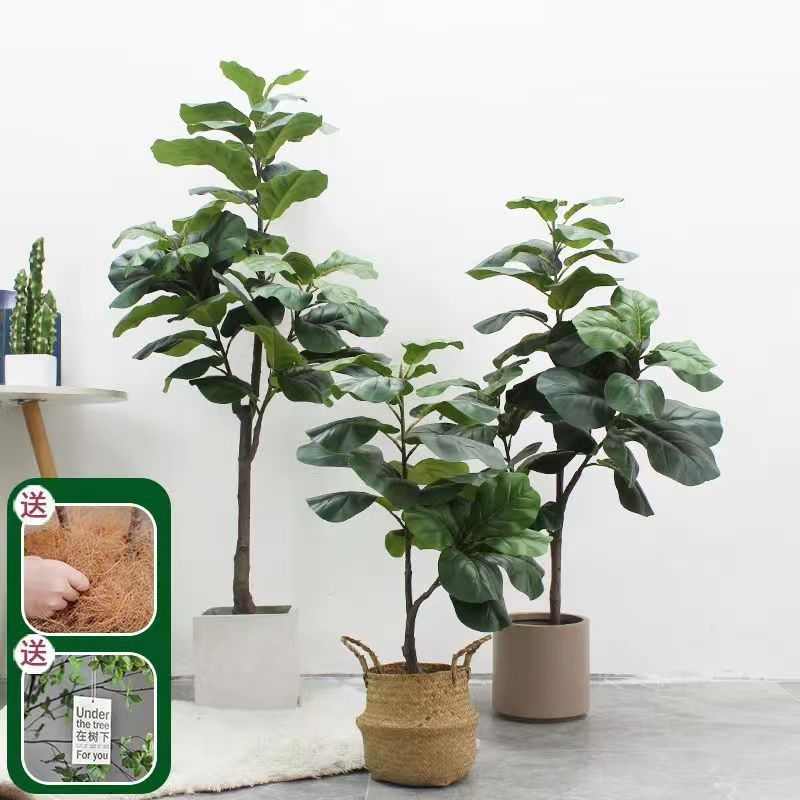 北欧风仿真琴叶榕室内绿植家居装饰落地摆件假绿植橱窗盆栽盆景