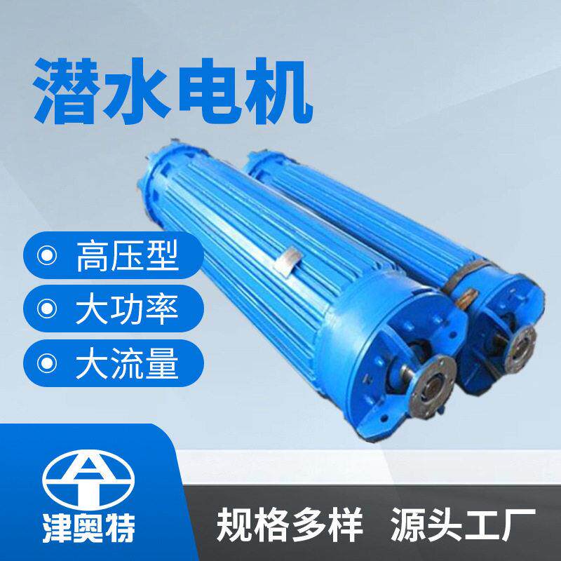 压三相异步电动机1152系列潜水电机4200KW大功率潜水电机