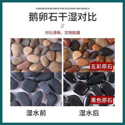 铺路河道鹅卵石电站变压器石河卵石园林造景鱼缸石头河滩石豆石