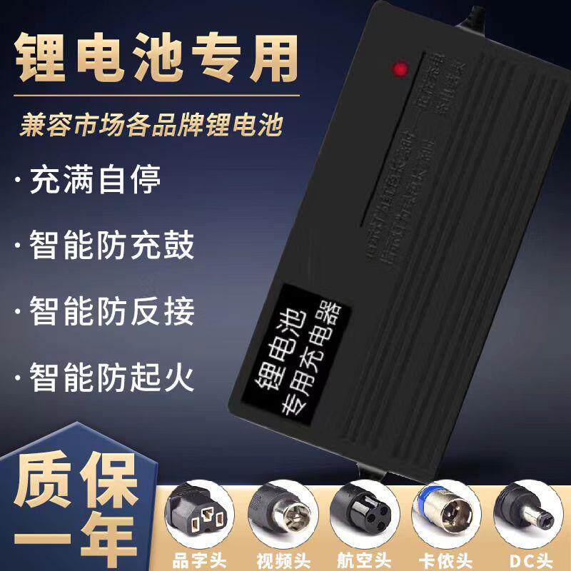 适用 蜂鸟锂电池电动车充电器24V36V48V10A42V2A54.6V3A60v锂离子
