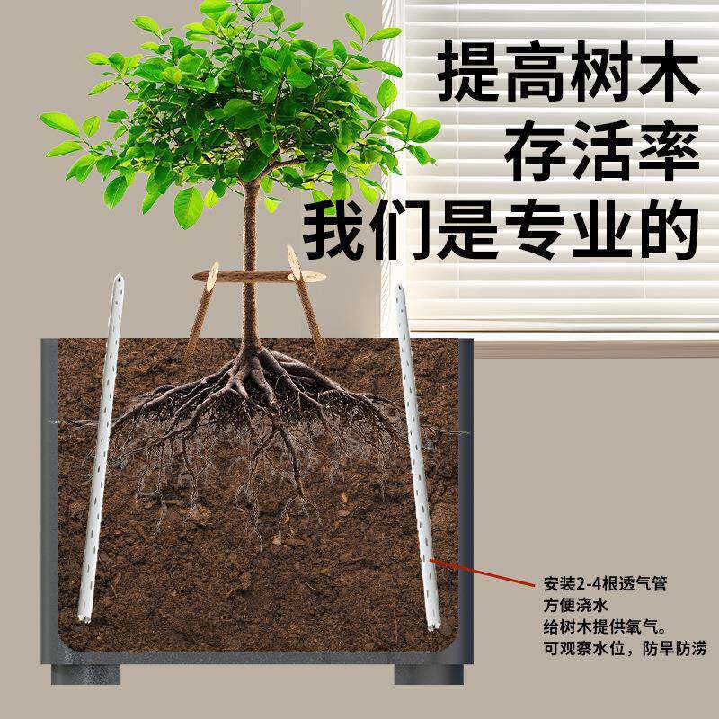 朗汀商业街大树花箱户外外摆金属花箱桂花树树池道路保温可移动