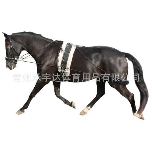 【】平衡调教索马匹调教用品训练马后腿 Lunging Aid