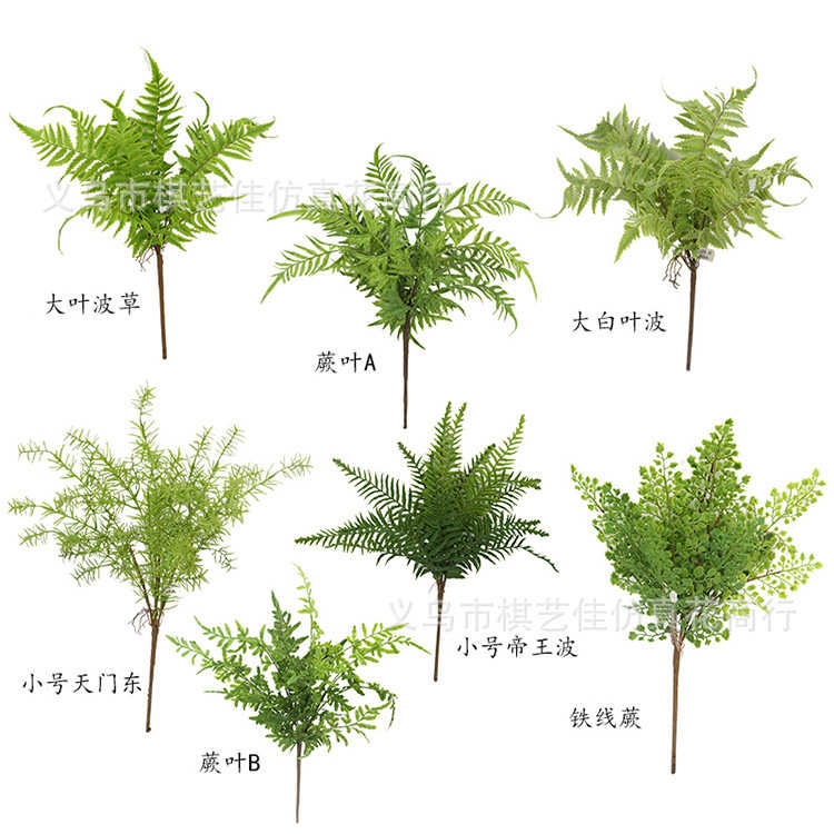 背景植客厅墙叶子草坪仿真假支植物装饰绿塑料餐厅插花花草单蕨类