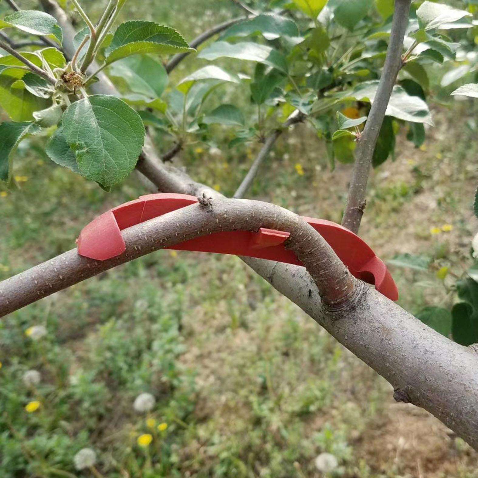 果树拉枝器果树拉枝定型器果树开角器塑料款拉枝器压枝弯枝器