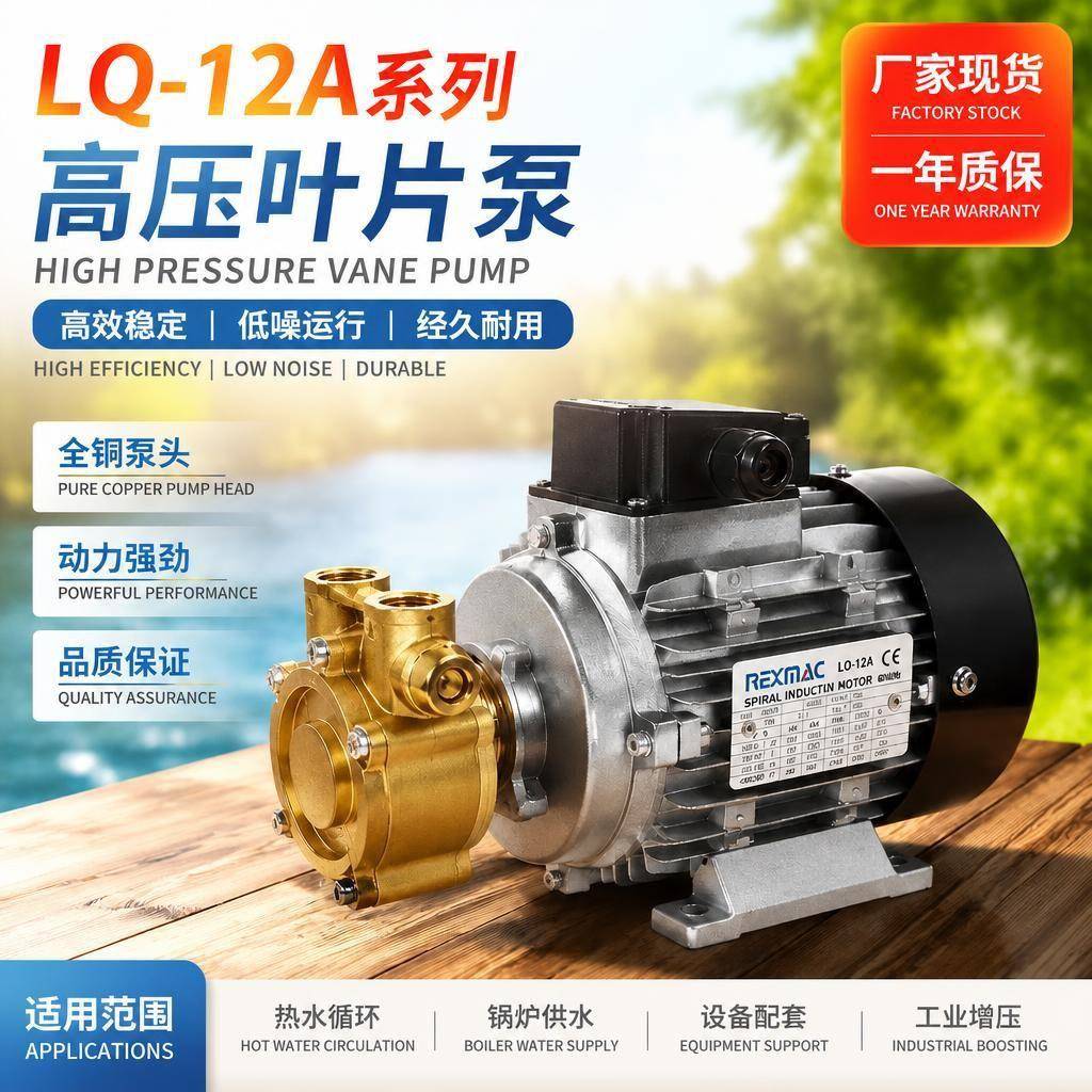 压叶片泵扬程低流量滑片泵咖啡机/反渗透系统水泵压泵