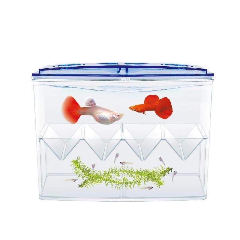 小鱼缸隔离盒观赏鱼繁殖盒孔雀鱼产卵房孵化盒二合一隔离斗鱼鱼缸