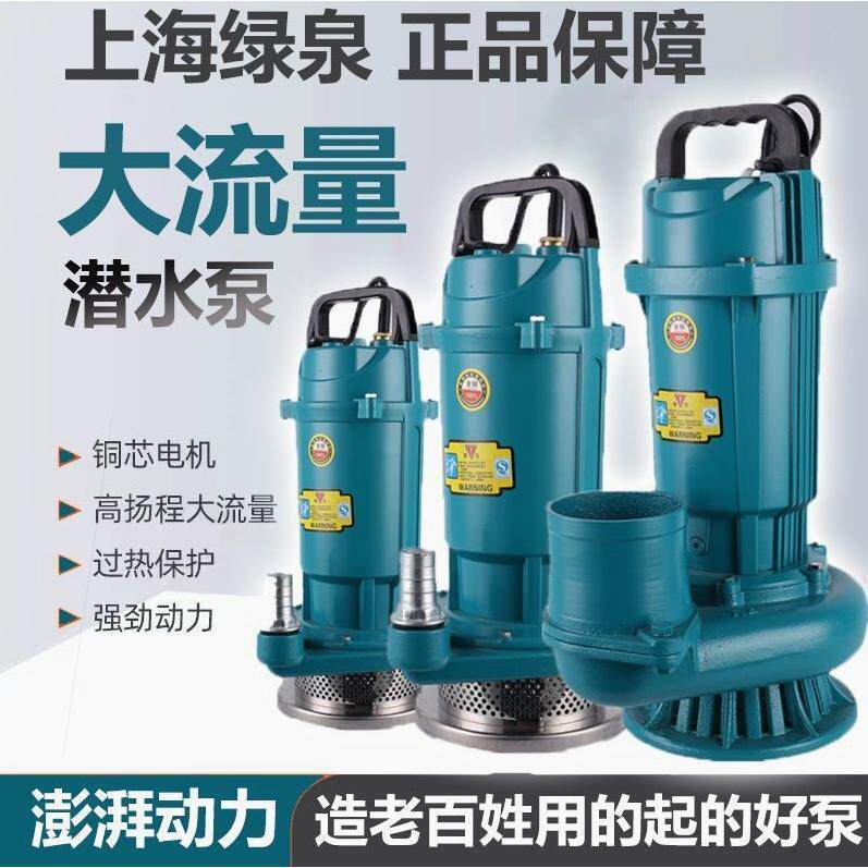 德国进口上海水泵国标抽水水泵大口径家用220V高扬程清水泵农用灌