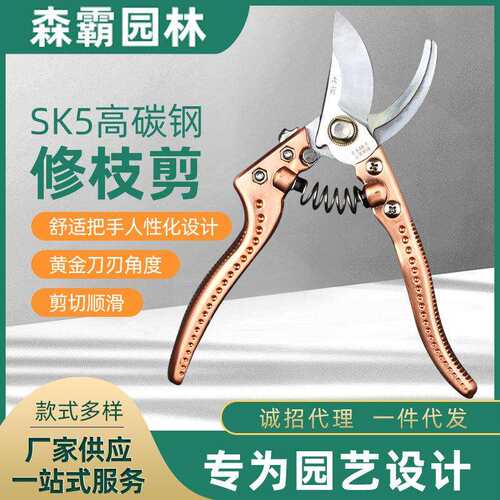 防滑园林修枝剪铜色 SK5手动省力园林高枝剪 鸟嘴镀铬果花艺枝剪