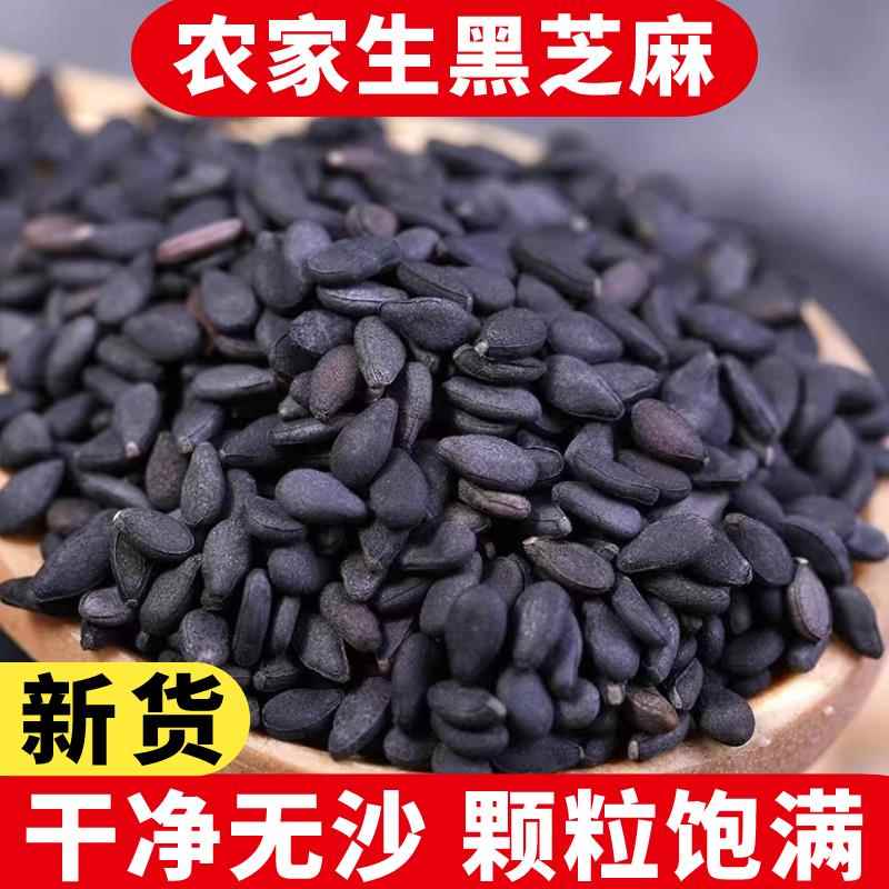新货生黑芝麻500g农家黑芝麻5斤新鲜饱满干净无沙无染色醇香油麻