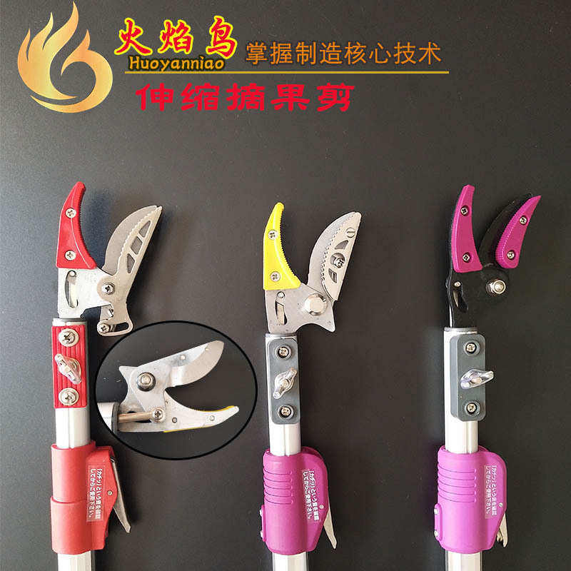 火焰鸟 伸缩摘果剪高枝 果树修枝高枝剪采果剪园林工具,居家日用,园艺刀剪,淘宝优惠券,粉丝福利购,淘宝优惠卷