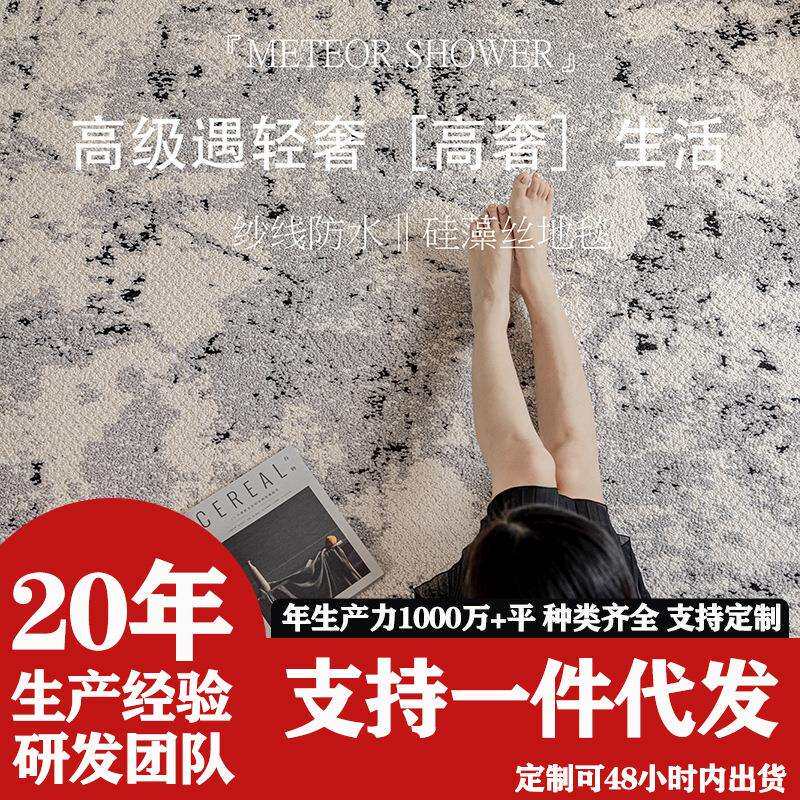 无甲醛硅藻丝客厅防水地垫轻奢高度茶几沙发大理石纹地毯