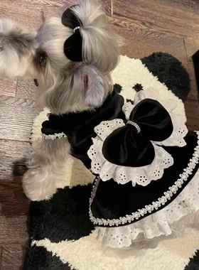 狗狗黑色衣服丝绒礼服公主裙子猫咪约克夏宠物比熊博美泰迪小型