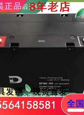 NIDEL12V55AH免维护6FM-55机房基站船舶UPS直流屏现货